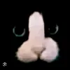 lovemypet19