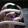 soeprapto357