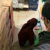 arf_24april