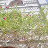 a.c.b.d0000282026
