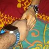 spsipat585