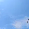littlefrogiez