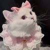 Beauty cat💕