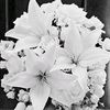 user1190110596175