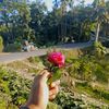 md.rahamatullah33