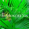 rssmoke2