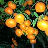 motngaykhongem