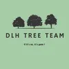 dlh_tree_team