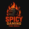 SPICY GAMING
