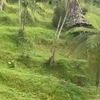 dewatikbasmalahgralind