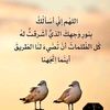 halimahlimah169