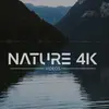 Nature 4k videos