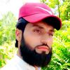 habib565656565656565
