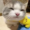 krzyravennn