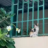 _abcdefgh_07