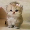 roberta_1312_1