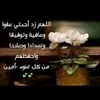 sameh.amin71