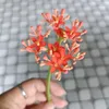 doilacoitam.com.vn