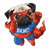 Pug Fly