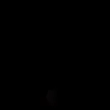 markol19