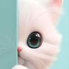omammar092