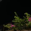 sahar.salay16