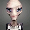 useribonrn3a4w