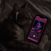 hameleon_purple