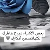 shema_973