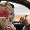 mohammed.almahri0