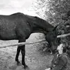 horse_petitsauvage