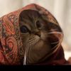 banke_35