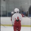 mikeydog141