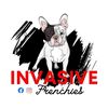 invasive_frenchies