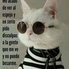 mindelfox