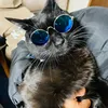 hayatooo126