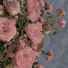 hamza_rt1