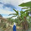 herlina._mrsnd