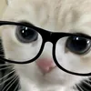 ririjyz