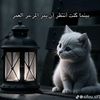 joryjory839