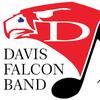 Davis Falcon Band