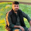 halmatshanadary