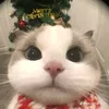 jhamesplayz
