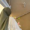 1warda.__