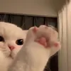 crushbedau