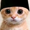 mohsyamsul79