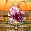 usermyb848ehlh