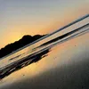 ginna822
