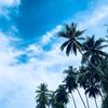 arpansamsahung_86