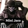 mini_jaco_27